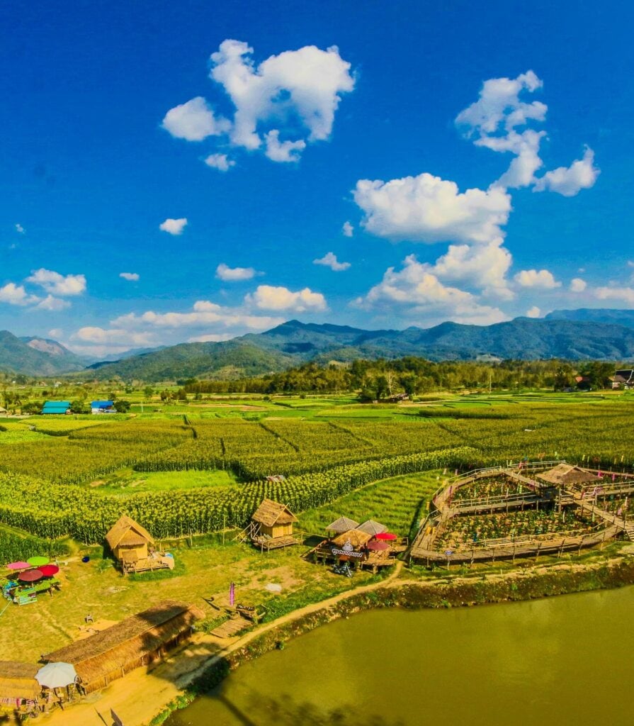 A serene landscape with lush rice fields stretching towards majestic mountains under a clear blue sky adorned with fluffy white clouds. A muddy river flows in the foreground.