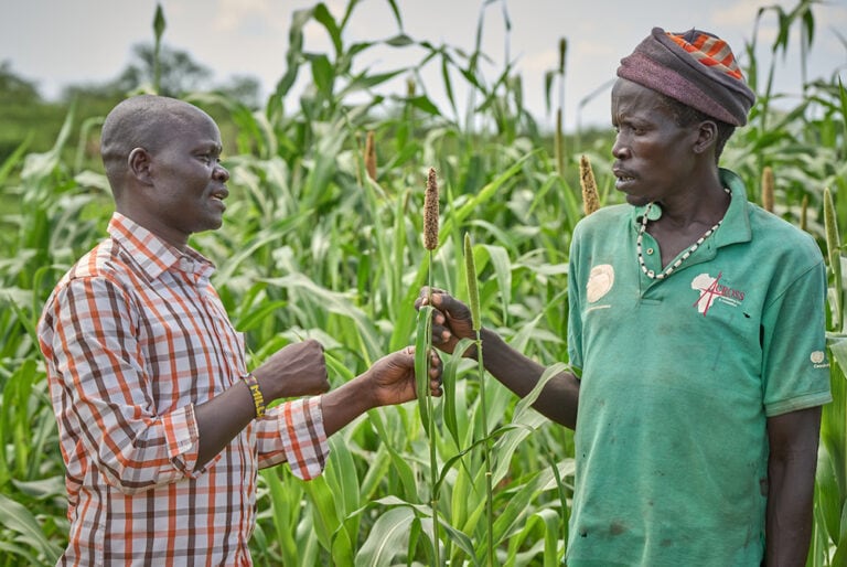 Milla Elizeous John talks with a farmer in his field of millet near Nakubuse, a remote community in South Sudan's Eastern Equatoria State.