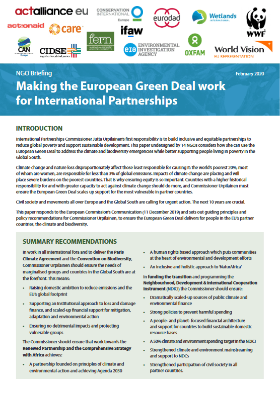 Cover page of an NGO briefing document titled 'Making the European Green Deal work for International Partnerships', dated February 2020.