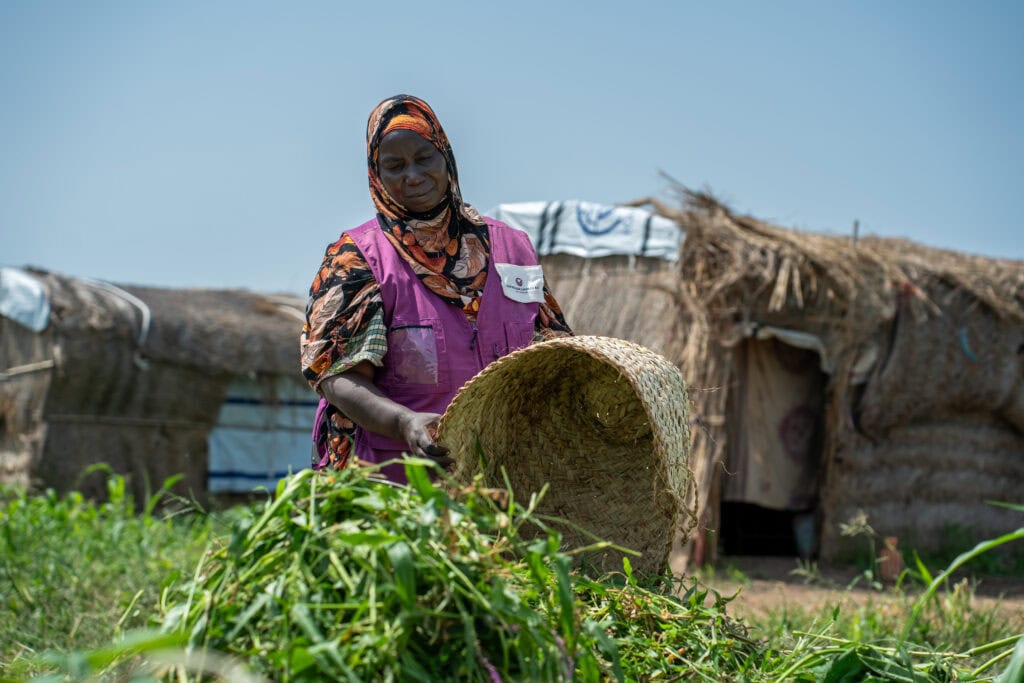 Response for displaced people in Sudan by ACT and Caritas